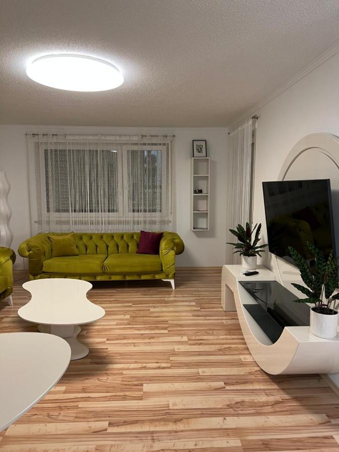 O&V Apartment Waldshut-Tiengen Exterior foto